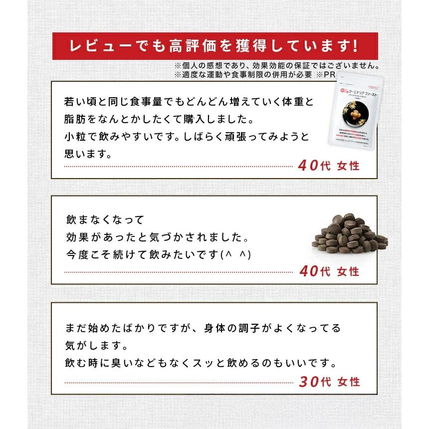 VitabridC 公式 ターミナリアファースト（グルメサプリ）2袋 血糖値 中