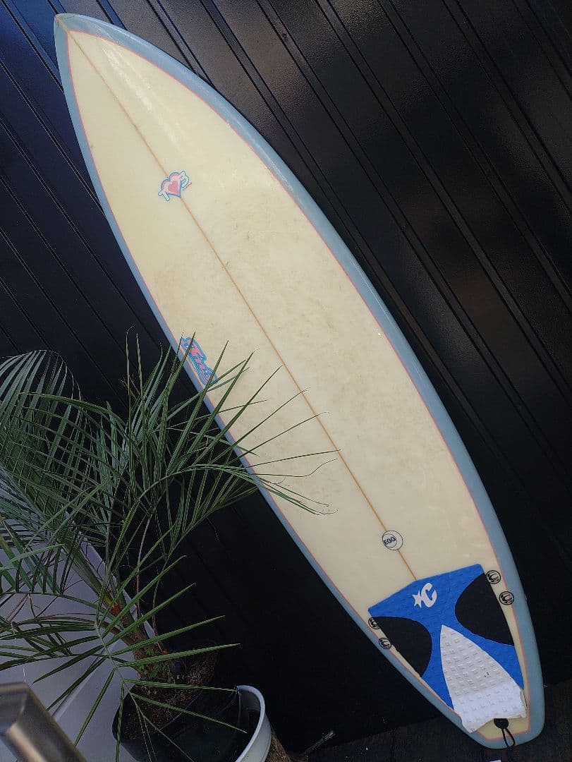 愛知 TM3 レディース 女性 サーフィン ショート ファン ボード FCS 波 愛知 TM3 レディース 女性 サーフィン ショート ファン ボード FCS 波